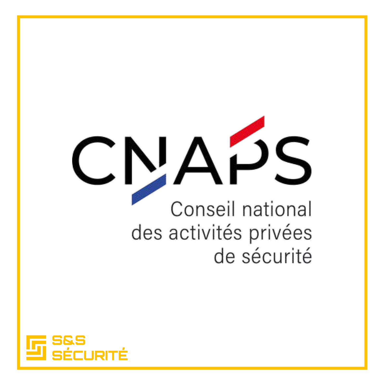 Le CNAPS au cœur des enjeux de la sécurité privée en 2025